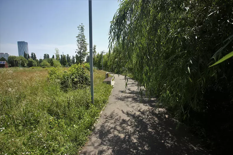 Parcul Bordei