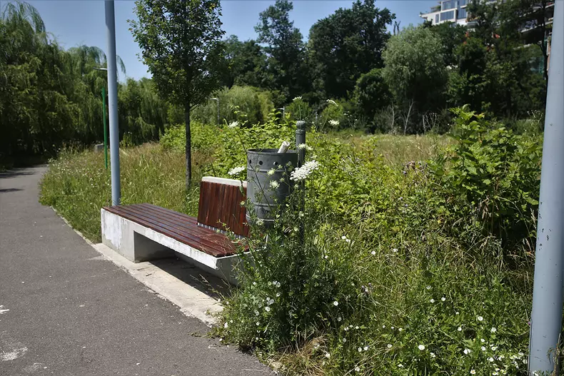 Parcul Bordei, buruienile acoperă băncile