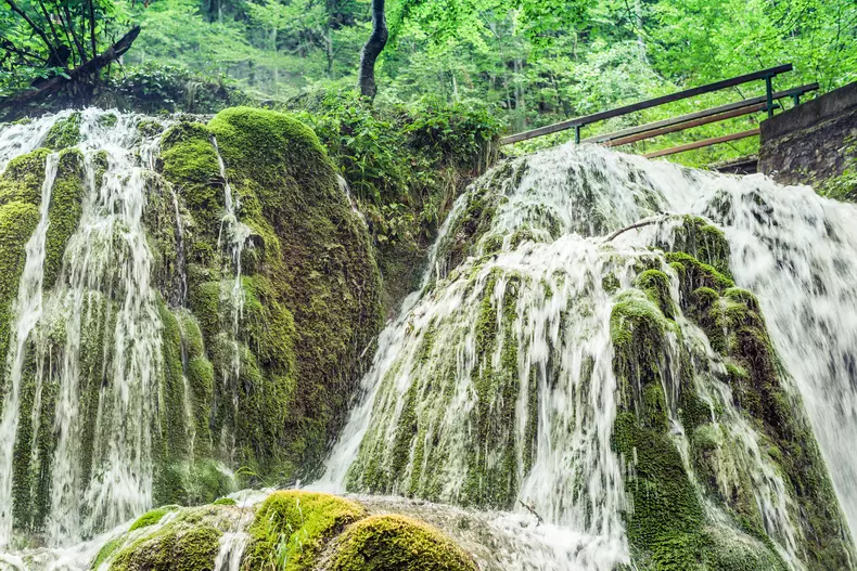 profimedia-0294631149