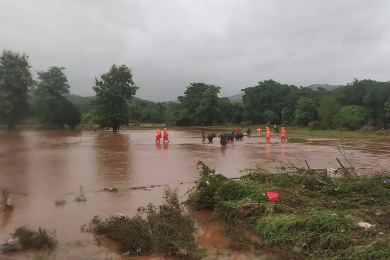 profimedia-0622875383