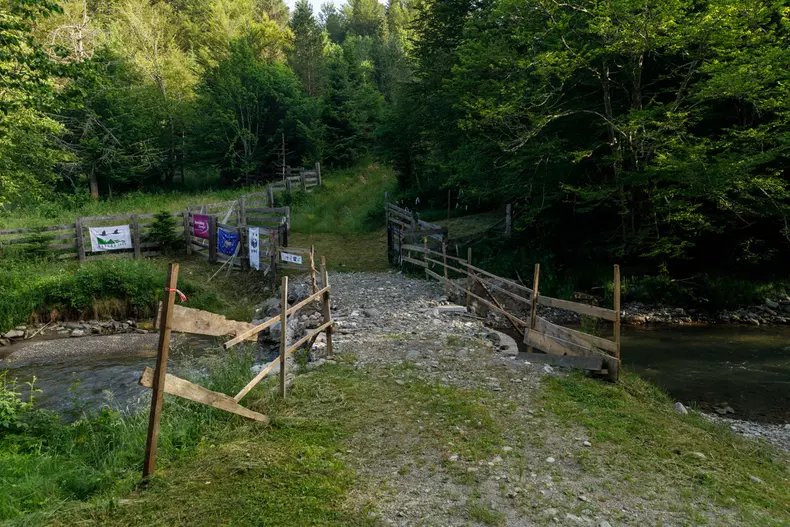 zimbri armenis wwf vlad chirea