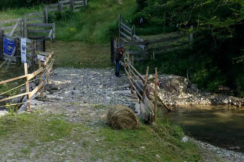 zimbri armenis wwf vlad chirea