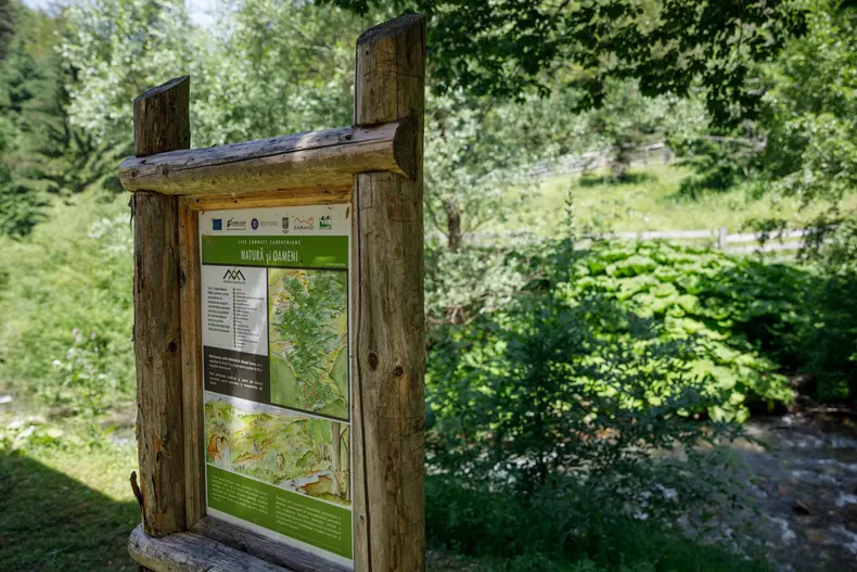 zimbri armenis wwf vlad chirea