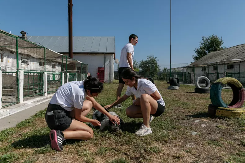studenti turci voluntari aspa bucuresti vlad chirea