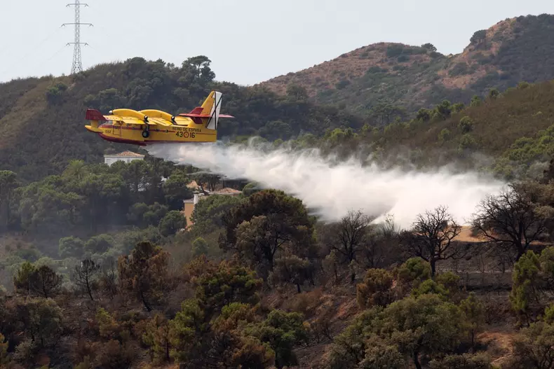 Forest fire in Sierra Bermeja burns 3,600 hectares
