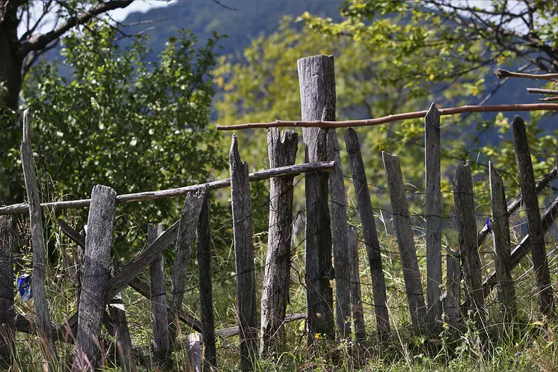 sat-parasit-dumitru-angelescu-img3209