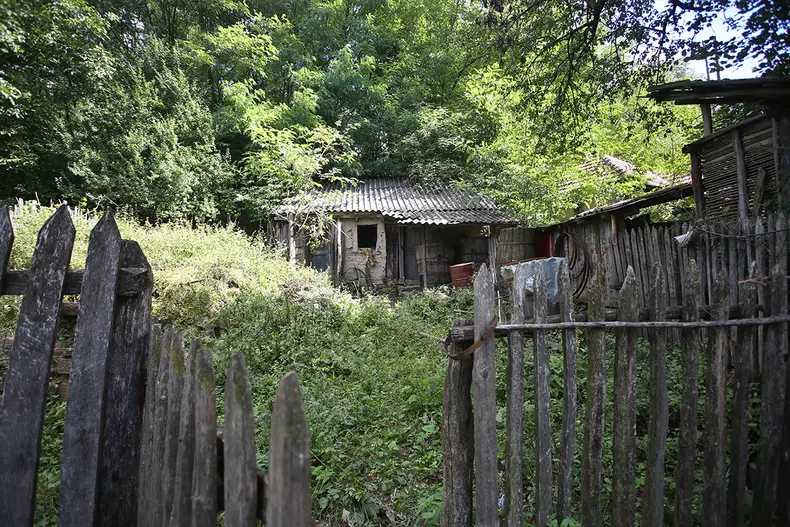 sat-parasit-dumitru-angelescu-img3351