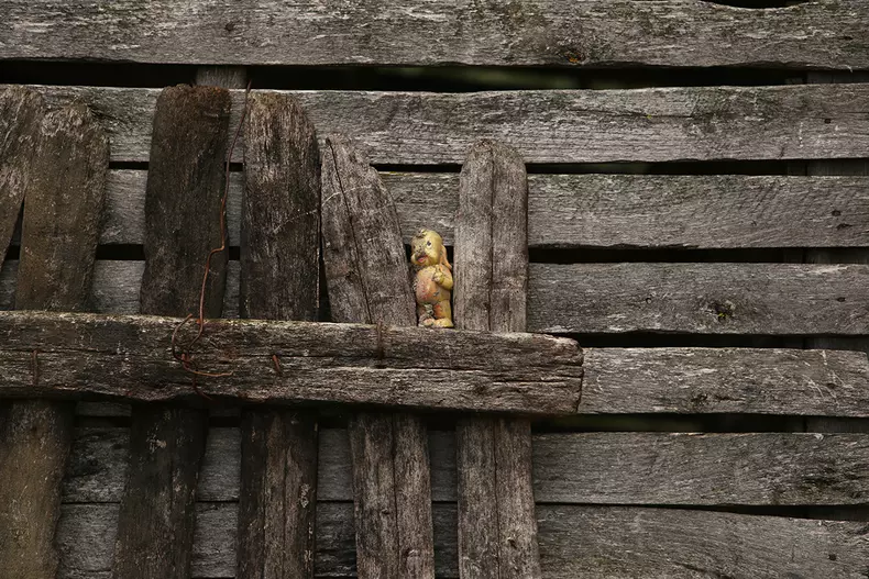 sat-parasit-dumitru-angelescu-img3452