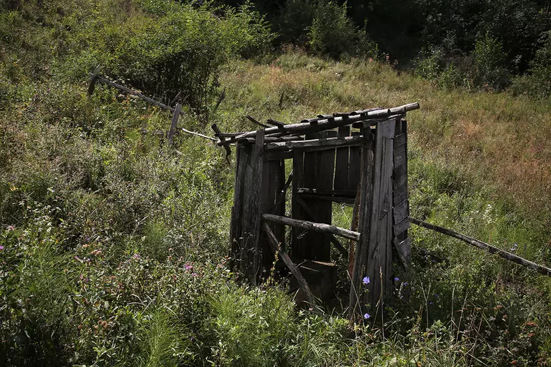 sat-parasit-dumitru-angelescu-img3461