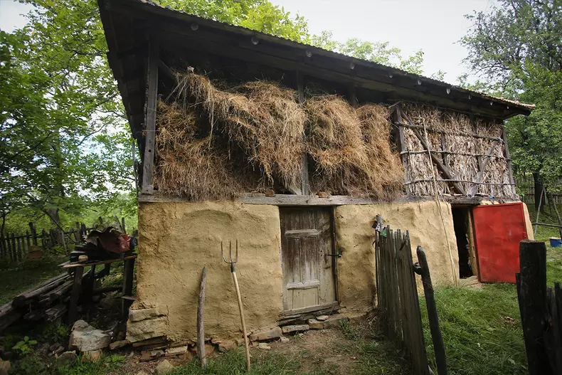 sat-parasit-dumitru-angelescu-img3511