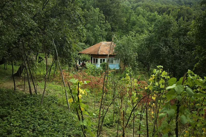 sat-parasit-dumitru-angelescu-img3516