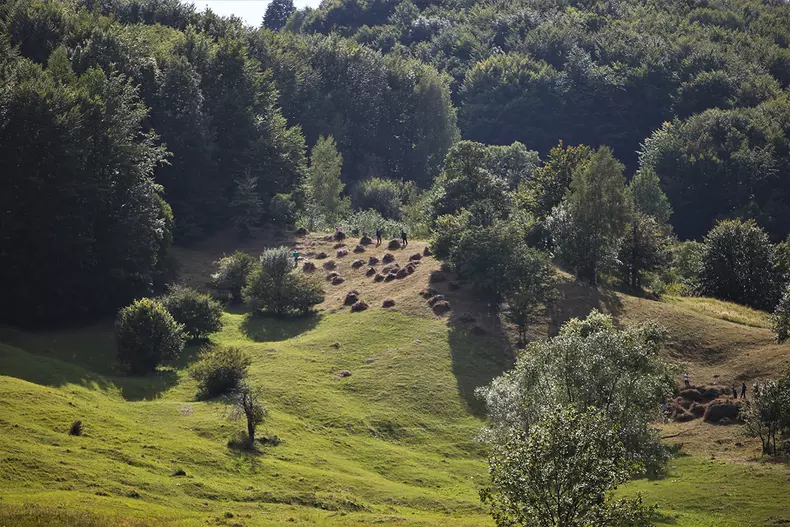 sat-parasit-dumitru-angelescu-img6096