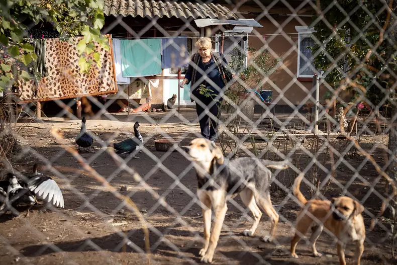 localitate-incidenta-covid-mare-s-35