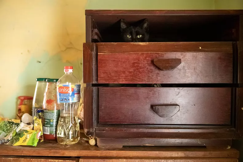 maria salvati copiii eli driu