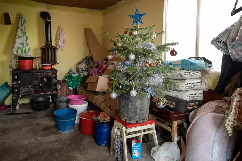 maria salvati copiii eli driu