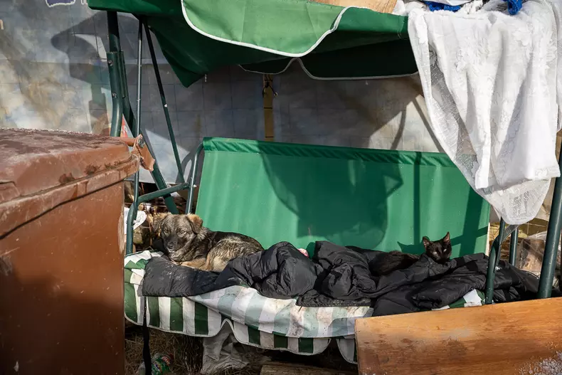 maria salvati copiii eli driu