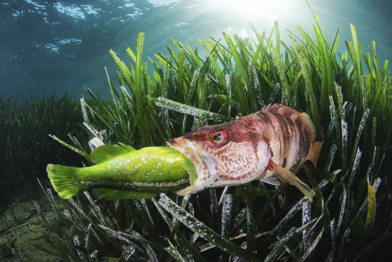 15-francisco-javiermurcia-requena-jpg