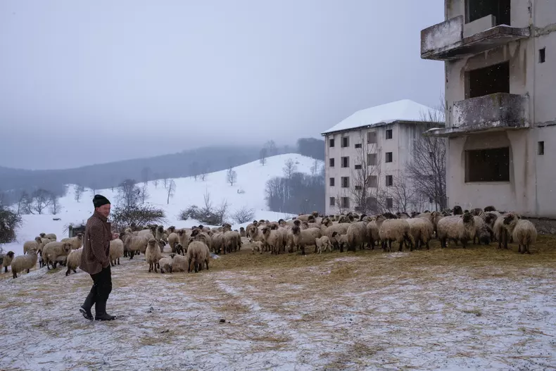 anina-vlad-chireascf6208