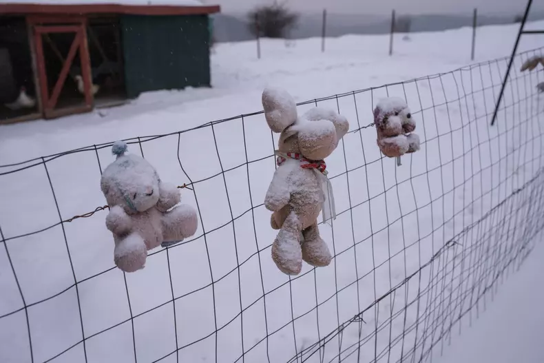 anina-vlad-chireascf6309