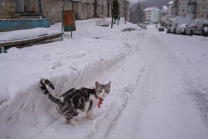 anina-vlad-chireascf6328