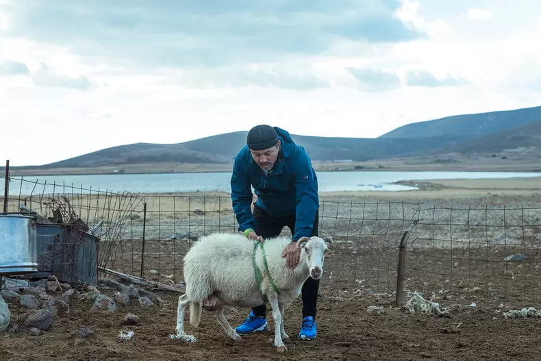 chefi-fara-limitestage-32
