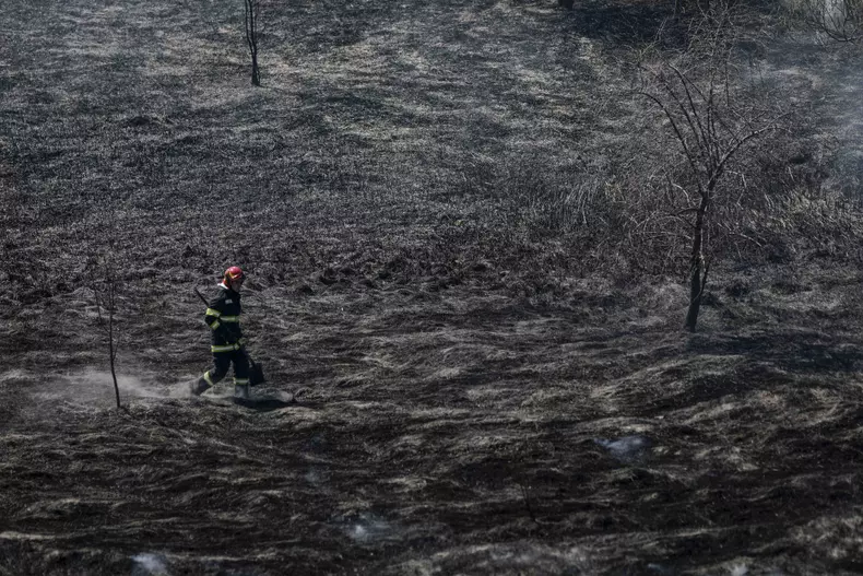 Incendiu în Delta Văcărești. Foto: Inquam Photos / George Calin