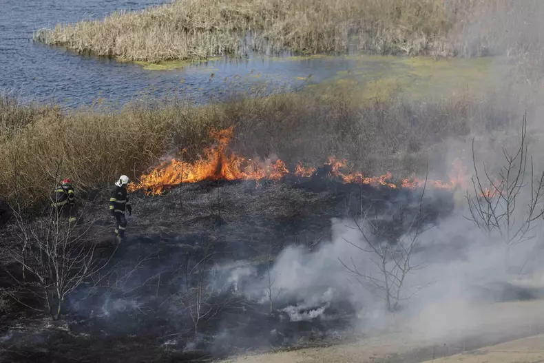 Incendiu în Delta Văcărești. Foto: Inquam Photos / George Calin