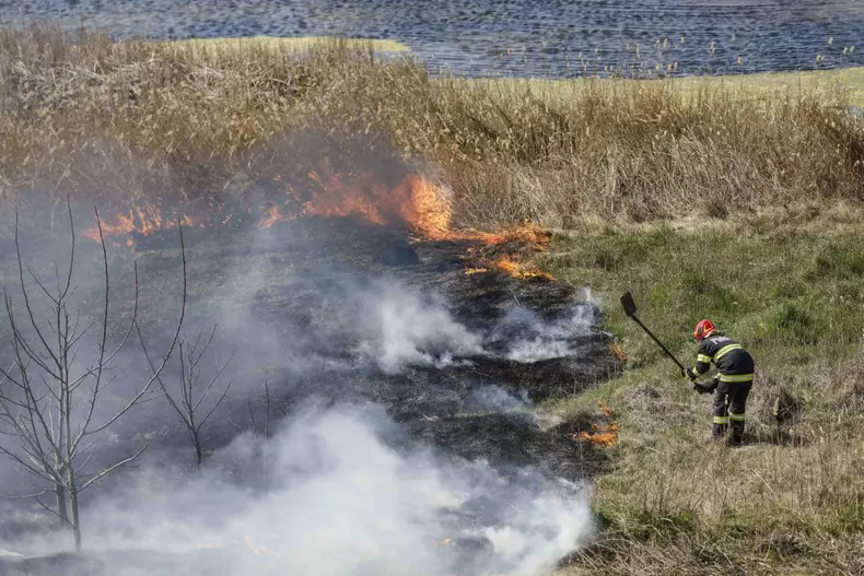 Incendiu în Delta Văcărești. Foto: Inquam Photos / George Calin