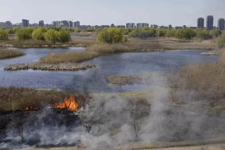 Incendiu în Delta Văcărești. Foto: Inquam Photos / George Calin
