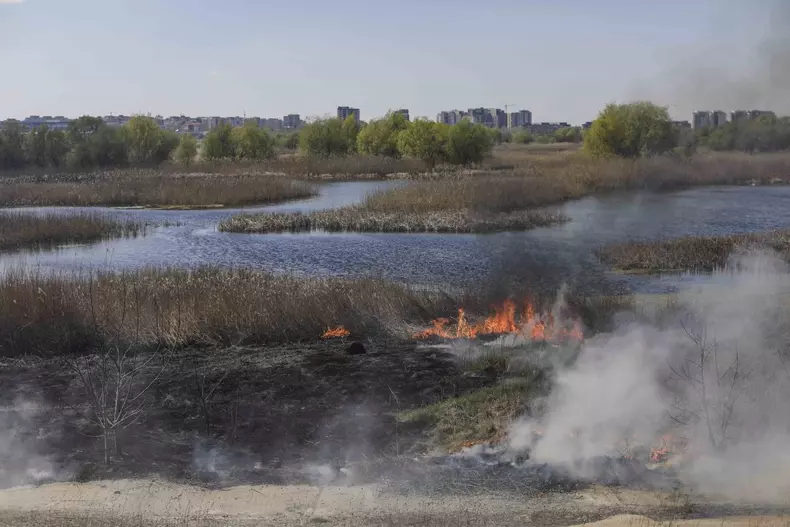 Incendiu în Delta Văcărești. Foto: Inquam Photos / George Calin