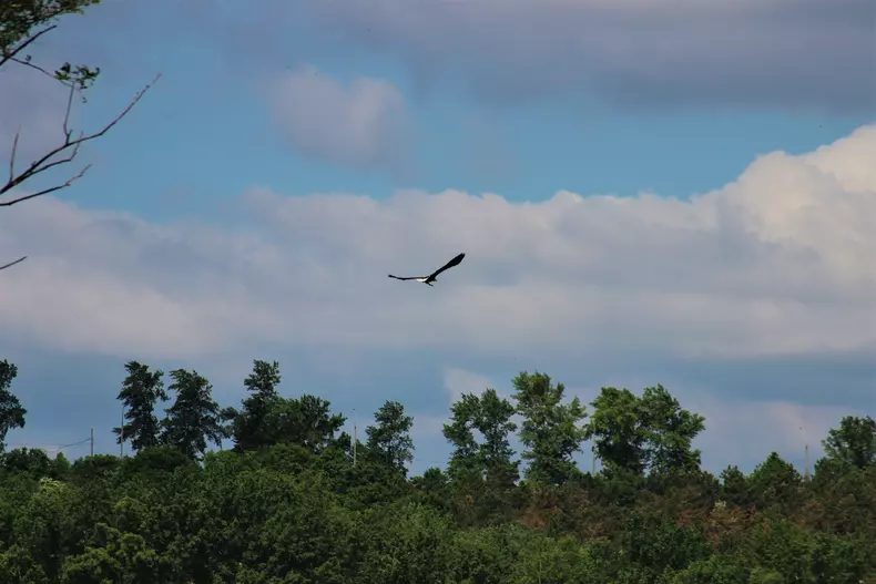 codalb-stancesti-moldova-prut-4