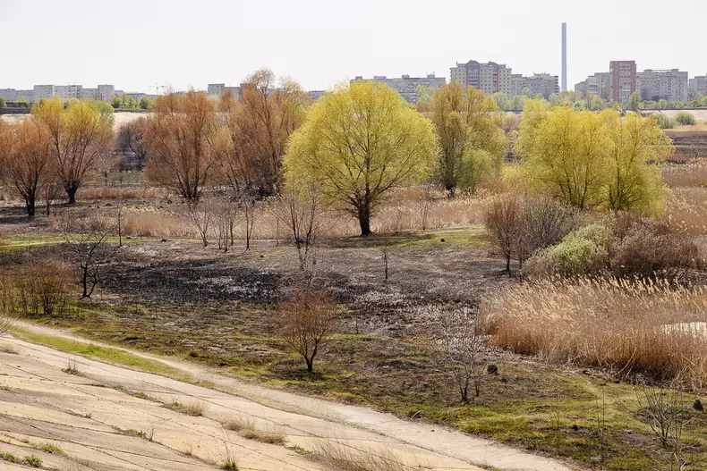 incendiu-delta-vacaresti-s-11