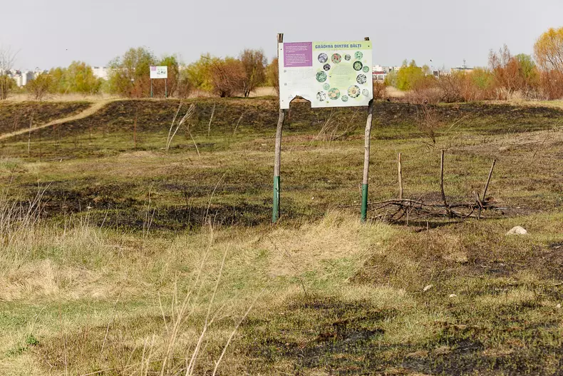 incendiu-delta-vacaresti-s-31