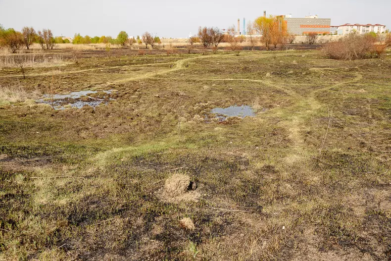 incendiu-delta-vacaresti-s-41