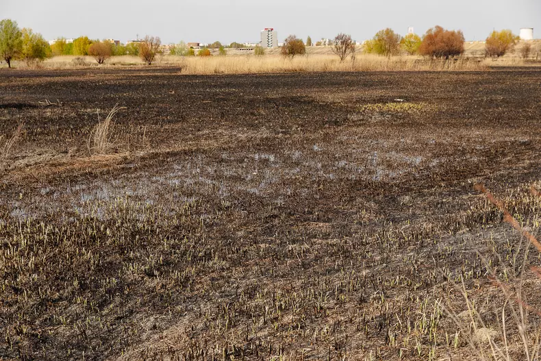 incendiu-delta-vacaresti-s-52