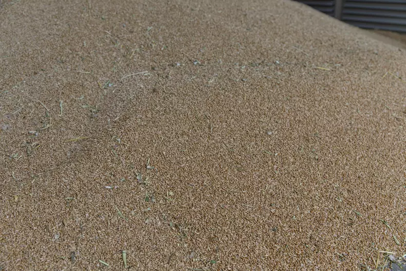 Foto: Vlad Chirea / Libertatea