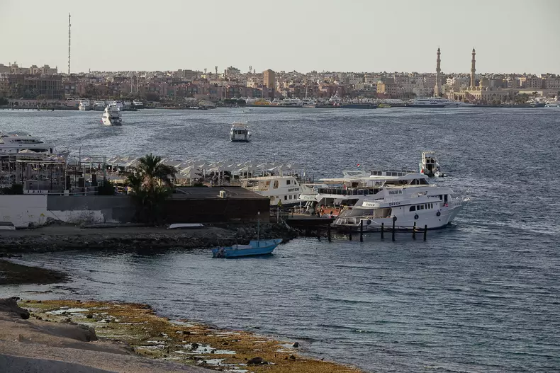 hurghada-egipt-rechin-s-27-1