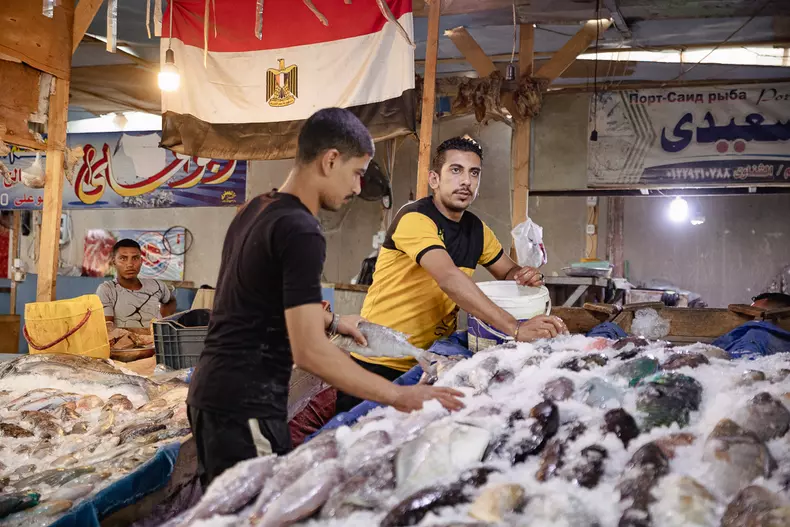 hurghada-egipt-rechin-s-36