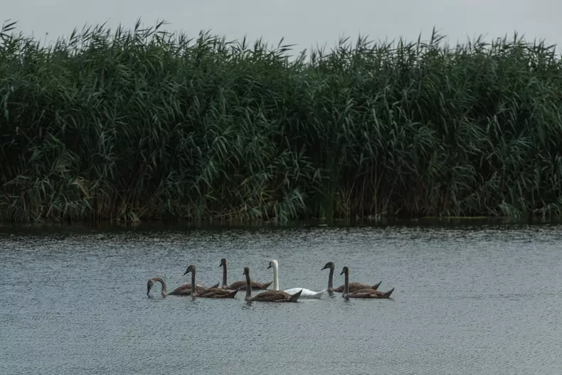 Foto: Vlad Chirea / Libertatea