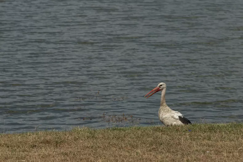 Foto: Vlad Chirea / Libertatea