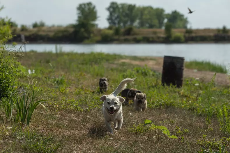 Foto: Vlad Chirea / Libertatea