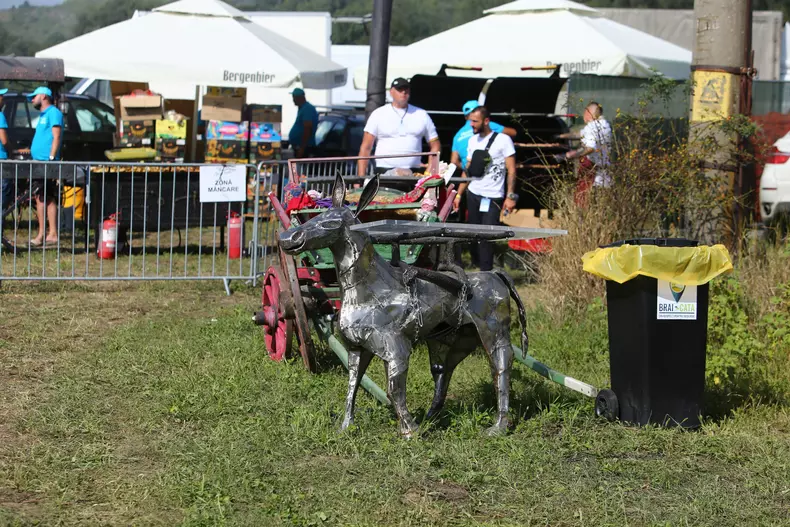 mitus-nunta-simion-18