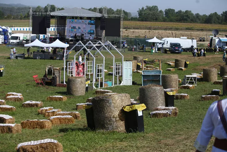 mitus-nunta-simion-31