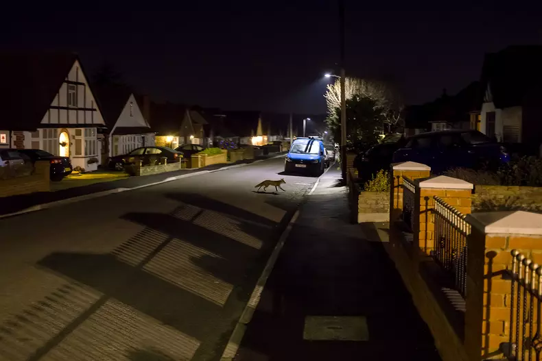 Ruislip, UK