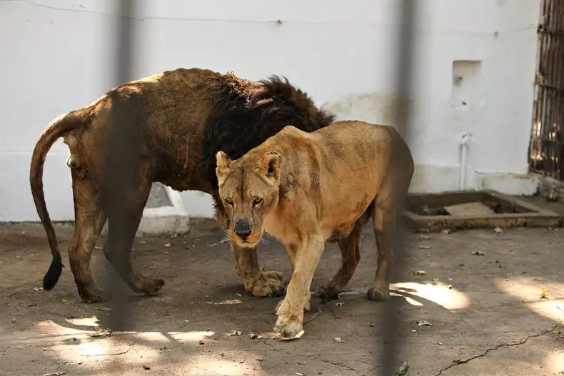 Foto: Dumitru Angelescu / Libertatea