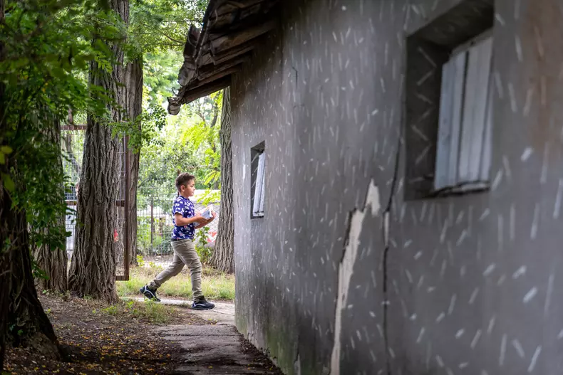 Prima zi de scoala la Stamate, Suceava