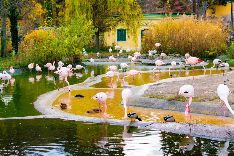 The,Most,Oldest,Zoo,In,Europe.,Very,Beautiful,Zoo,In