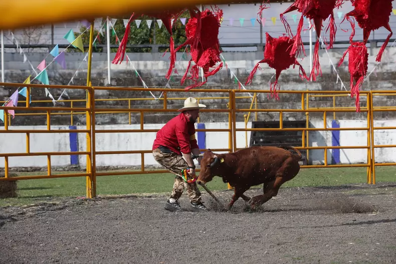 america-express-editia-7