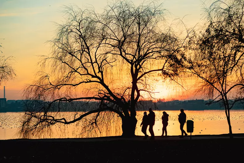 parcuri-bucuresti-s-38