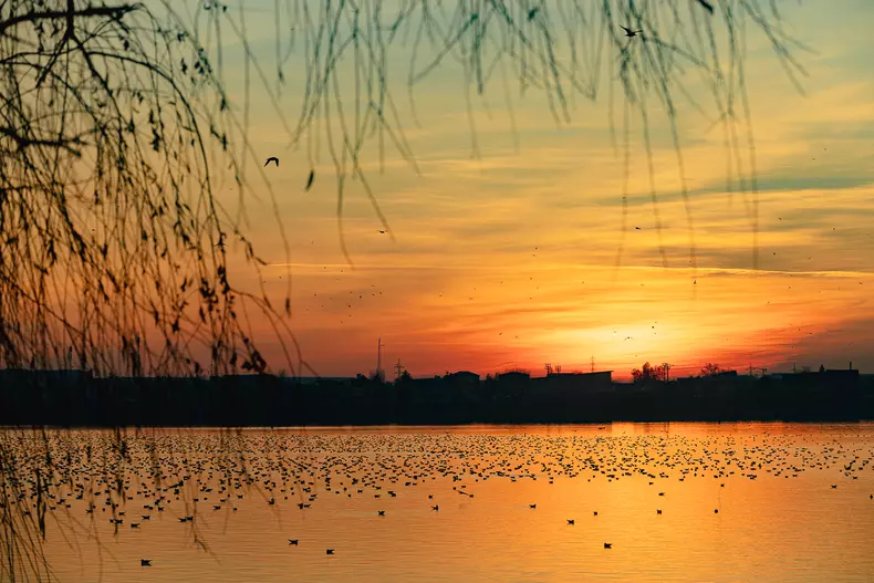 parcuri-bucuresti-s-39